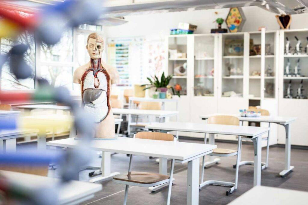 Biologieraum mit Anatomiemodell und Reagenzschränken, bereit für den Unterricht – naturwissenschaftliche Bildung in Dresden